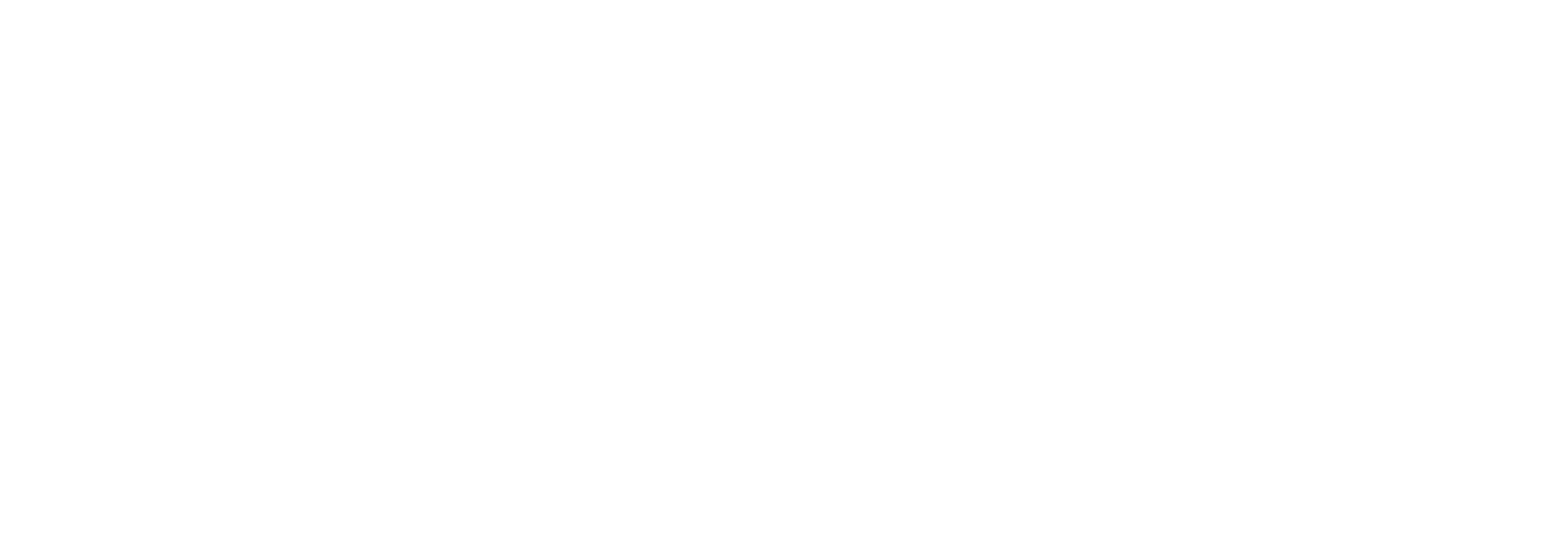 White Vulcan Technologies logo